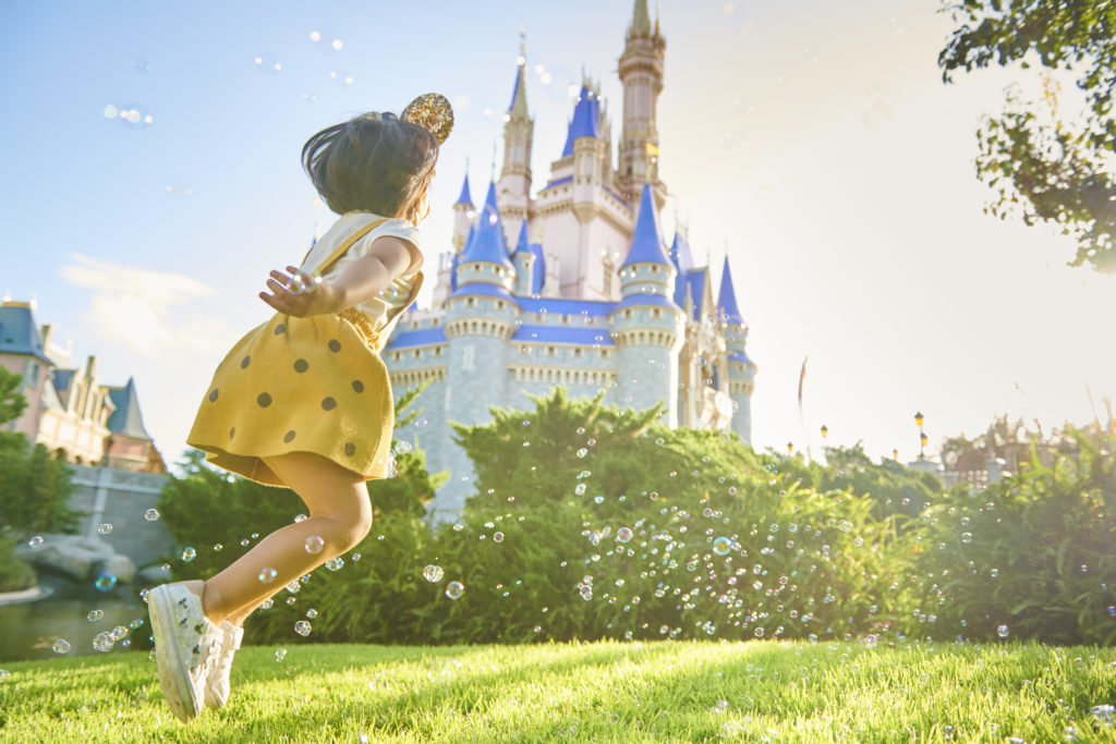 Cinderella Castla