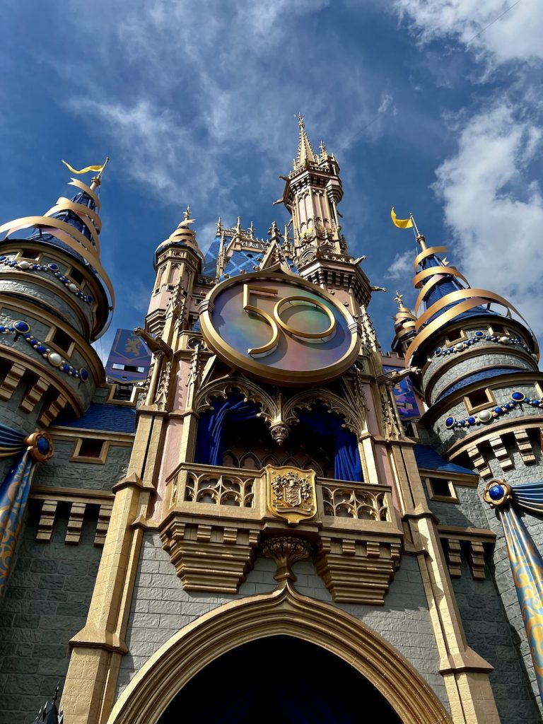 Disney VIP Tour