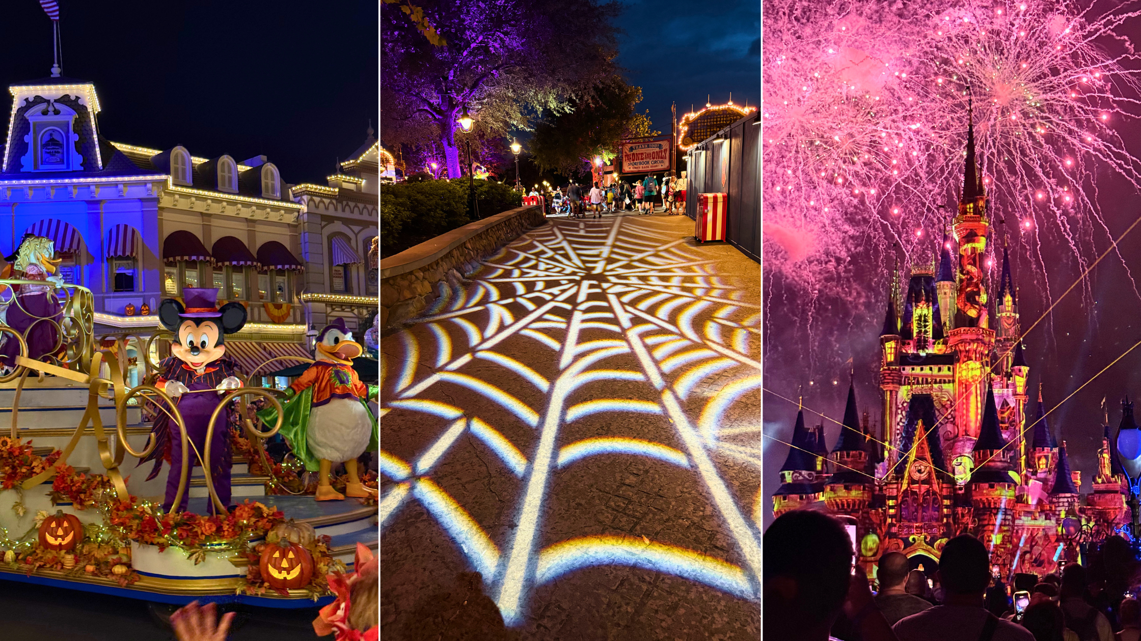 Mickey's Not So Scary Halloween Party