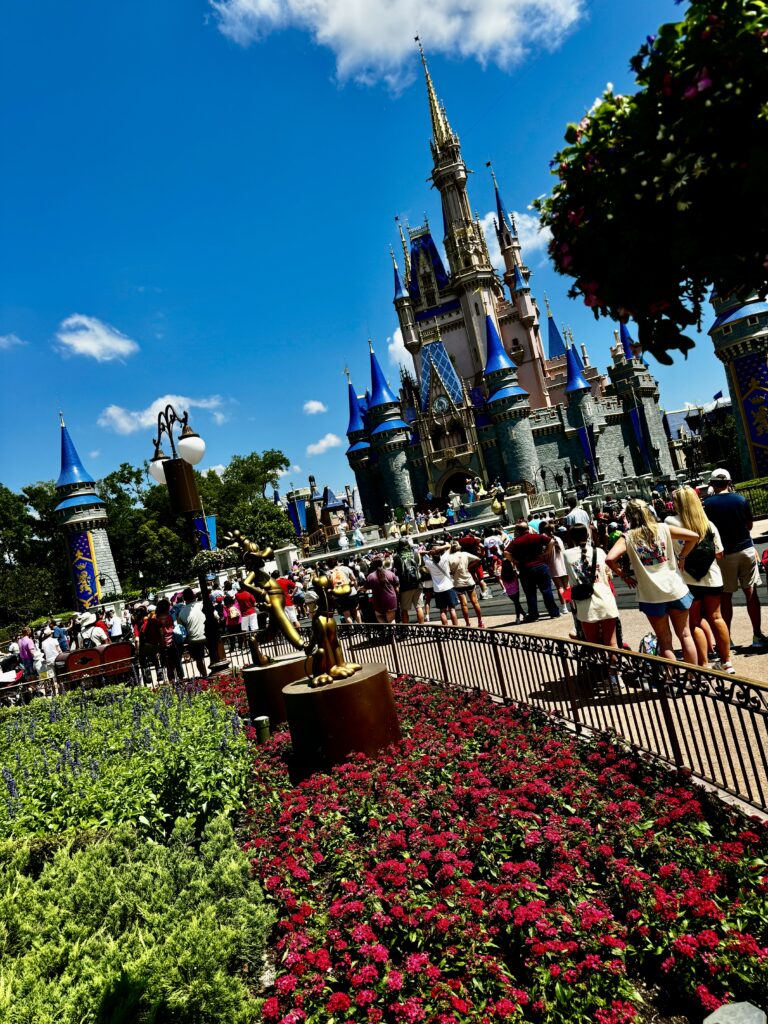 Magic Kingdom - Castle