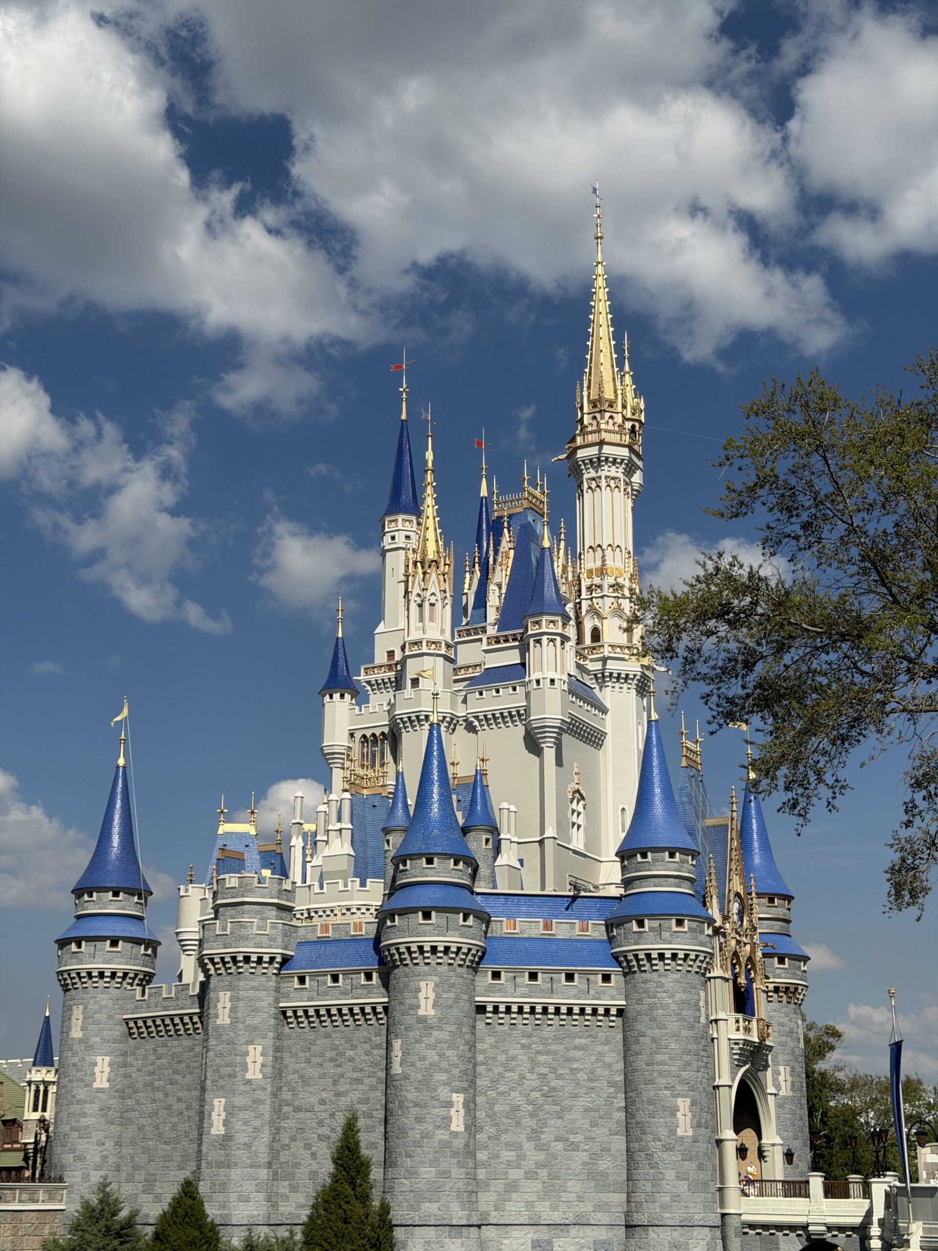 Magic Kingdom Castle