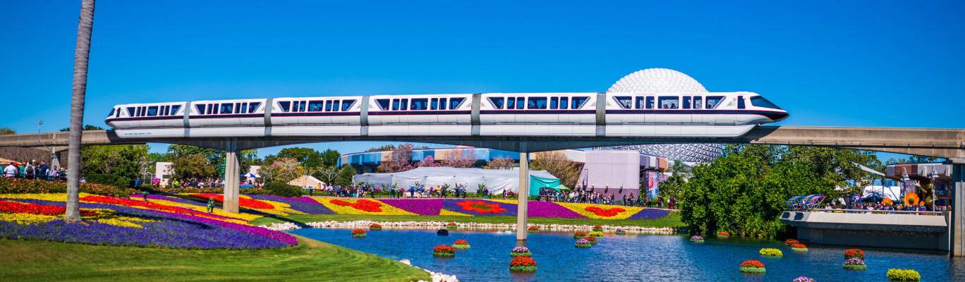 dvc guests