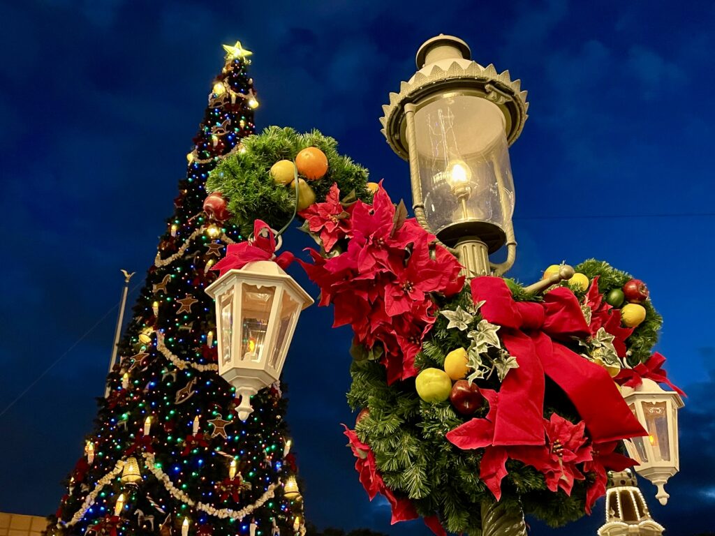 Magic Kingdom - Holidays and Christmas Tree