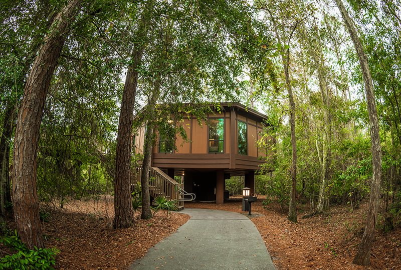 Saratoga Springs Resort Treehouse Villa